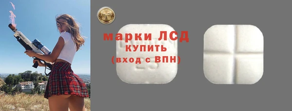 амф Губаха