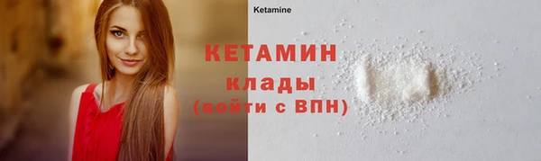 прущие грибы Лабытнанги