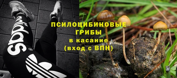 бошки Лихославль