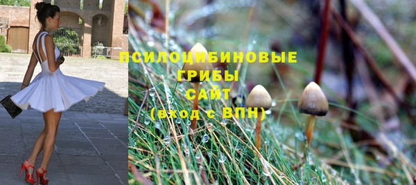 стаф Кукмор