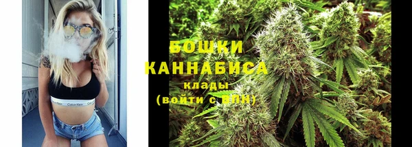 прущие грибы Лабытнанги