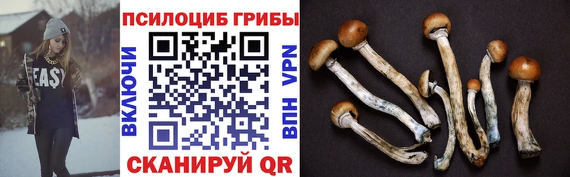 Псилоцибиновые грибы Magic Shrooms дарк нет какой сайт Кяхта